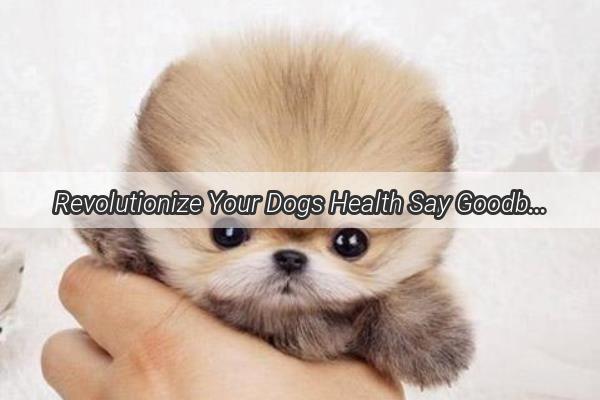 Revolutionize Your Dogs Health Say Goodbye to Mastitis with Pingxiao Capsules